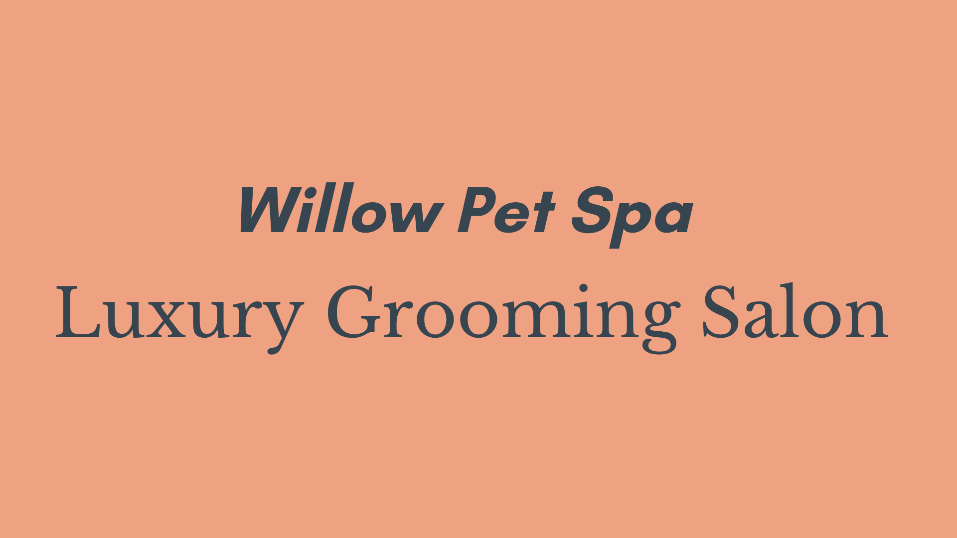 page 1 of Willow Pet Spa